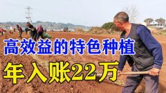 正在农村加 